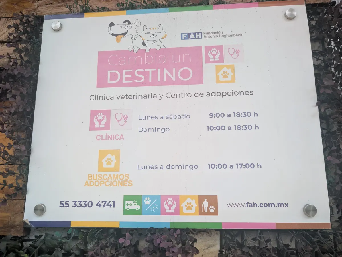 Cambia un destino Hospital de animales