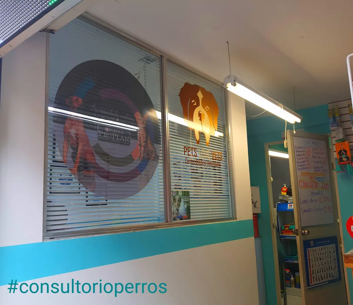 Centro Médico Veterinario Pets Love Vets