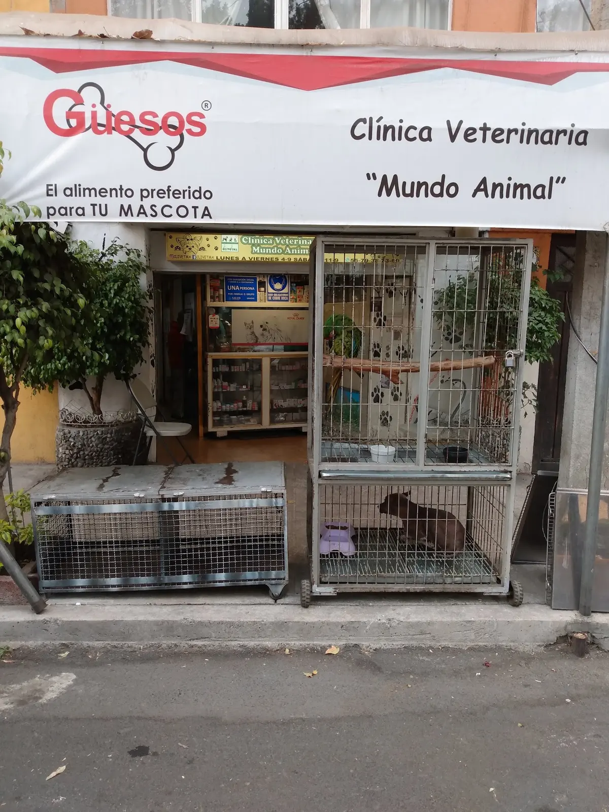 Clivetma Clinica Veterinaria Mundo Animal — foto 2 de 3