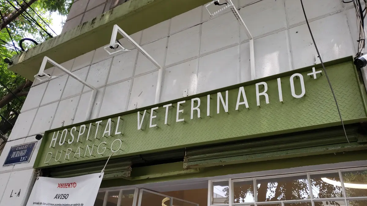 Hospital Veterinario Durango — foto 3 de 3