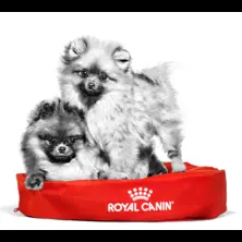 Quality Pets — foto 3 de 4