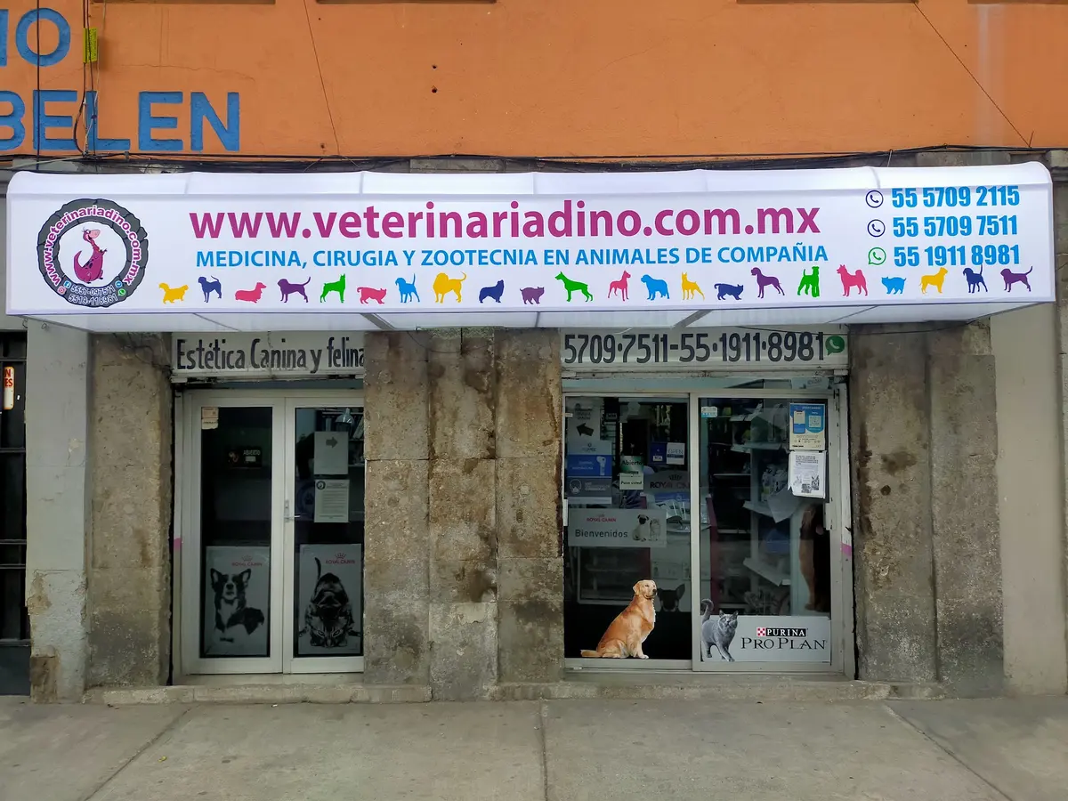 VETERINARIA DINO CENTRO HISTORICO