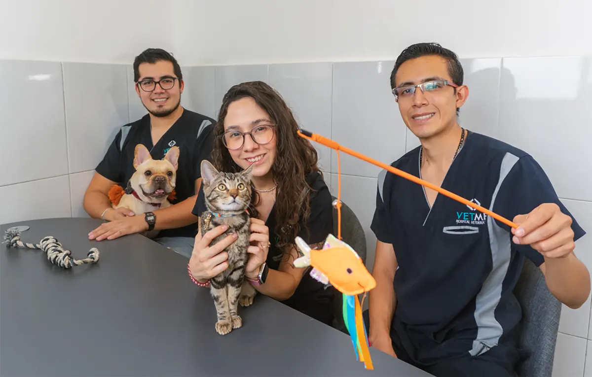 VETME - Hospital Veterinario Condesa