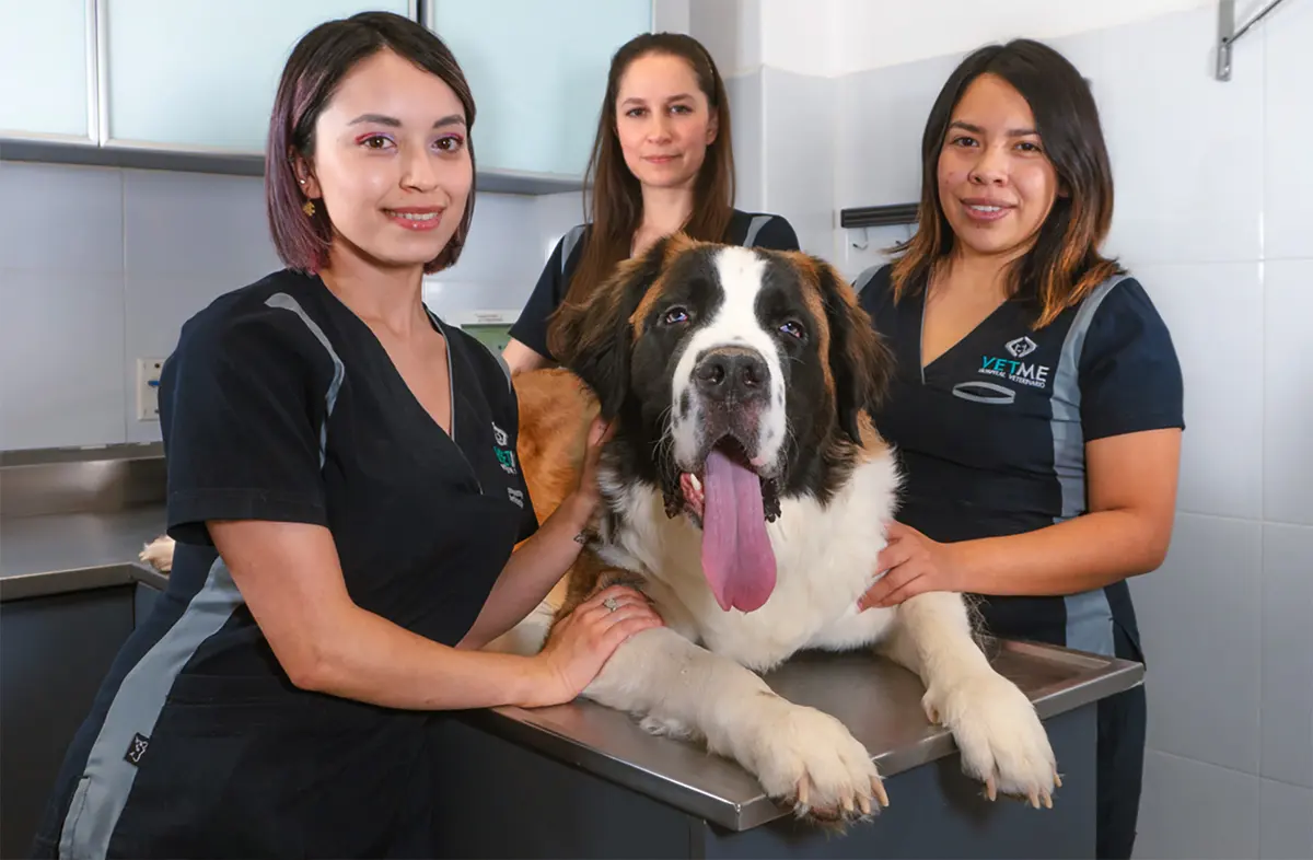 VETME - Hospital Veterinario Hipódromo