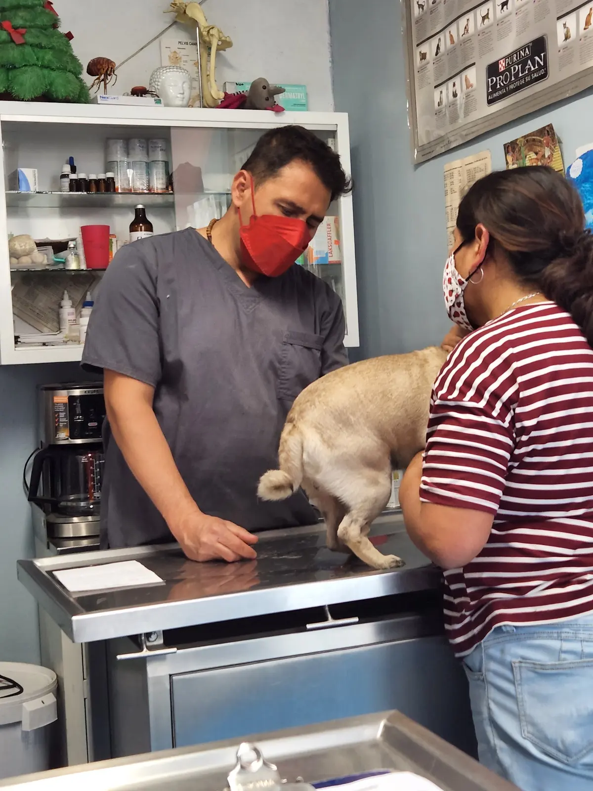 Centro Médico Veterinario