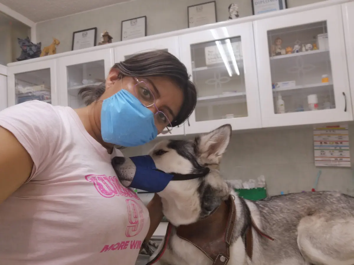Clínica Veterinaria de Especialidades Inguarán — foto 2 de 3