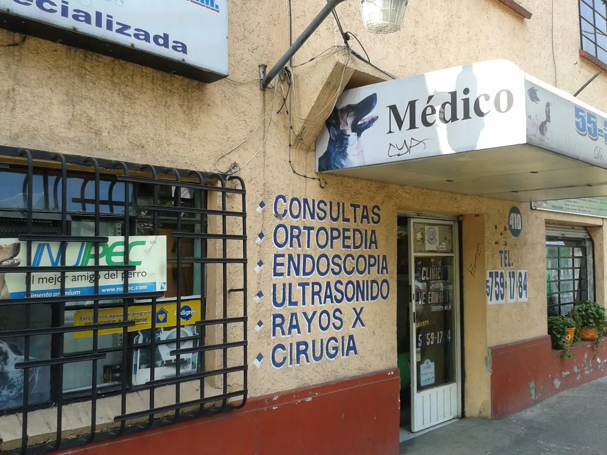 Clinica Veterinaria Especializada Mvz Jose Jimenez Najera