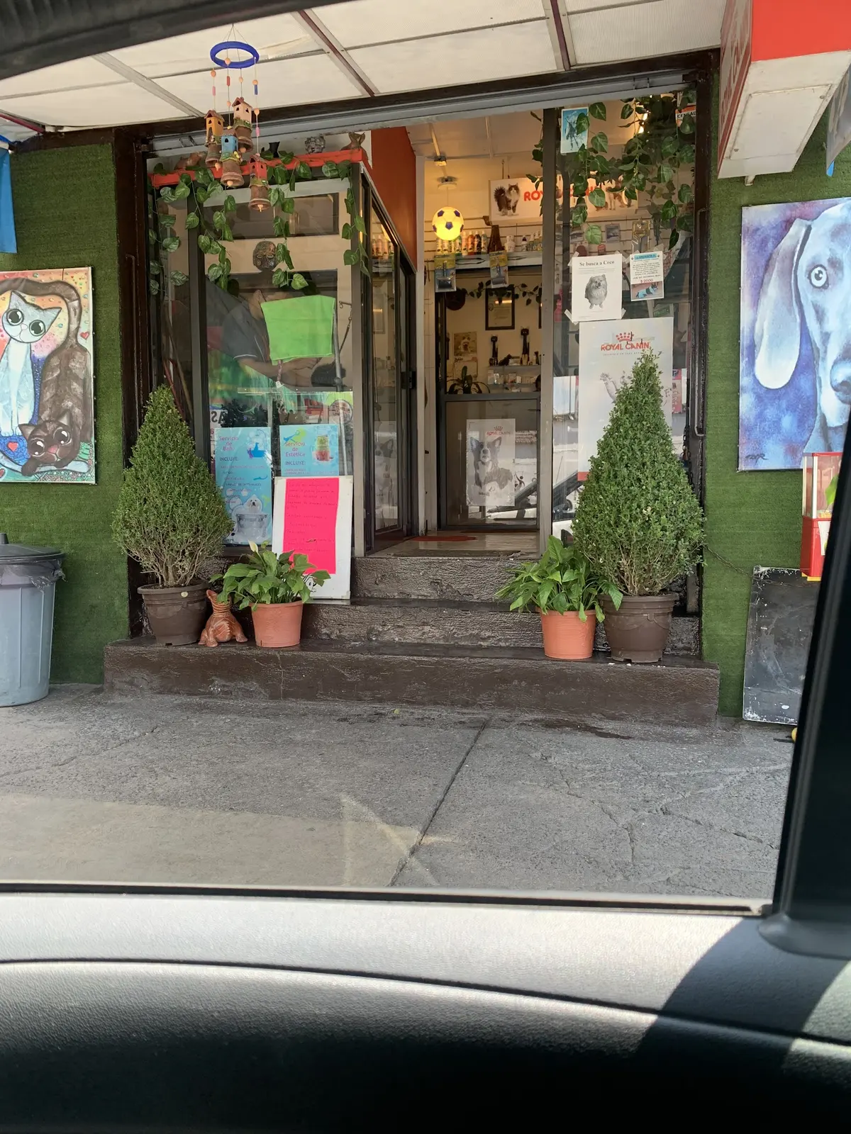 Clínica Veterinaria MEVEPE San Juan de Aragón — foto 3 de 3