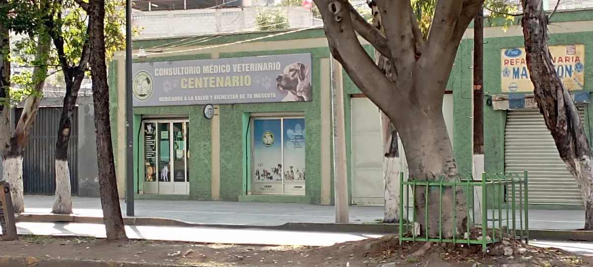 CONSULTORIO MÉDICO VETERINARIO "CENTENARIO" — foto 3 de 3