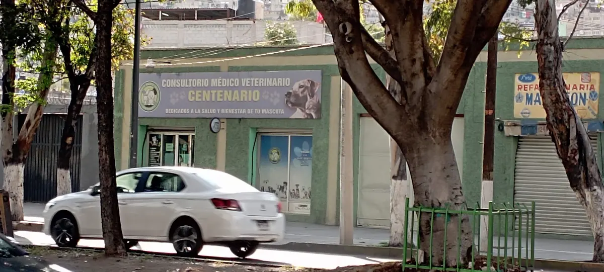 CONSULTORIO MÉDICO VETERINARIO "CENTENARIO"
