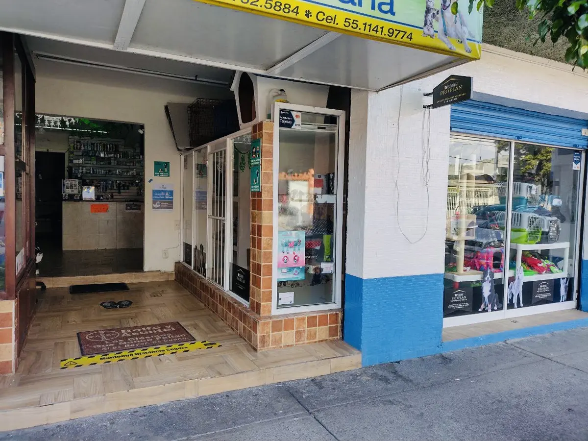 MEDICO VETERINARIO