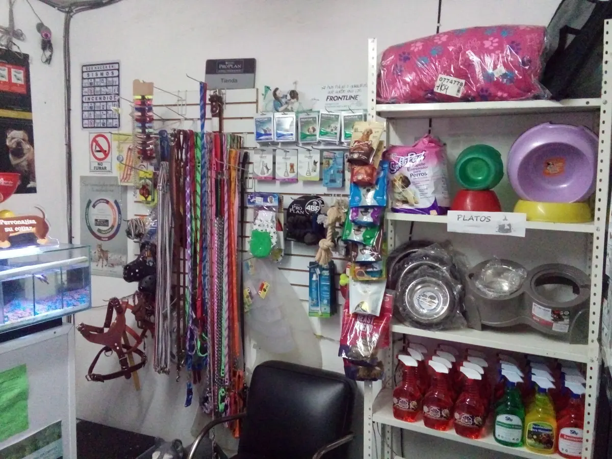 Servicio Médico Veterinario