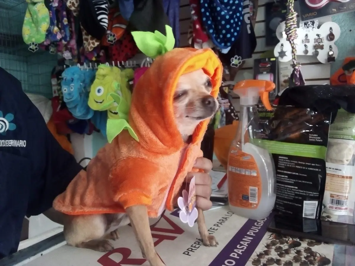 VET PET TEPEYAC