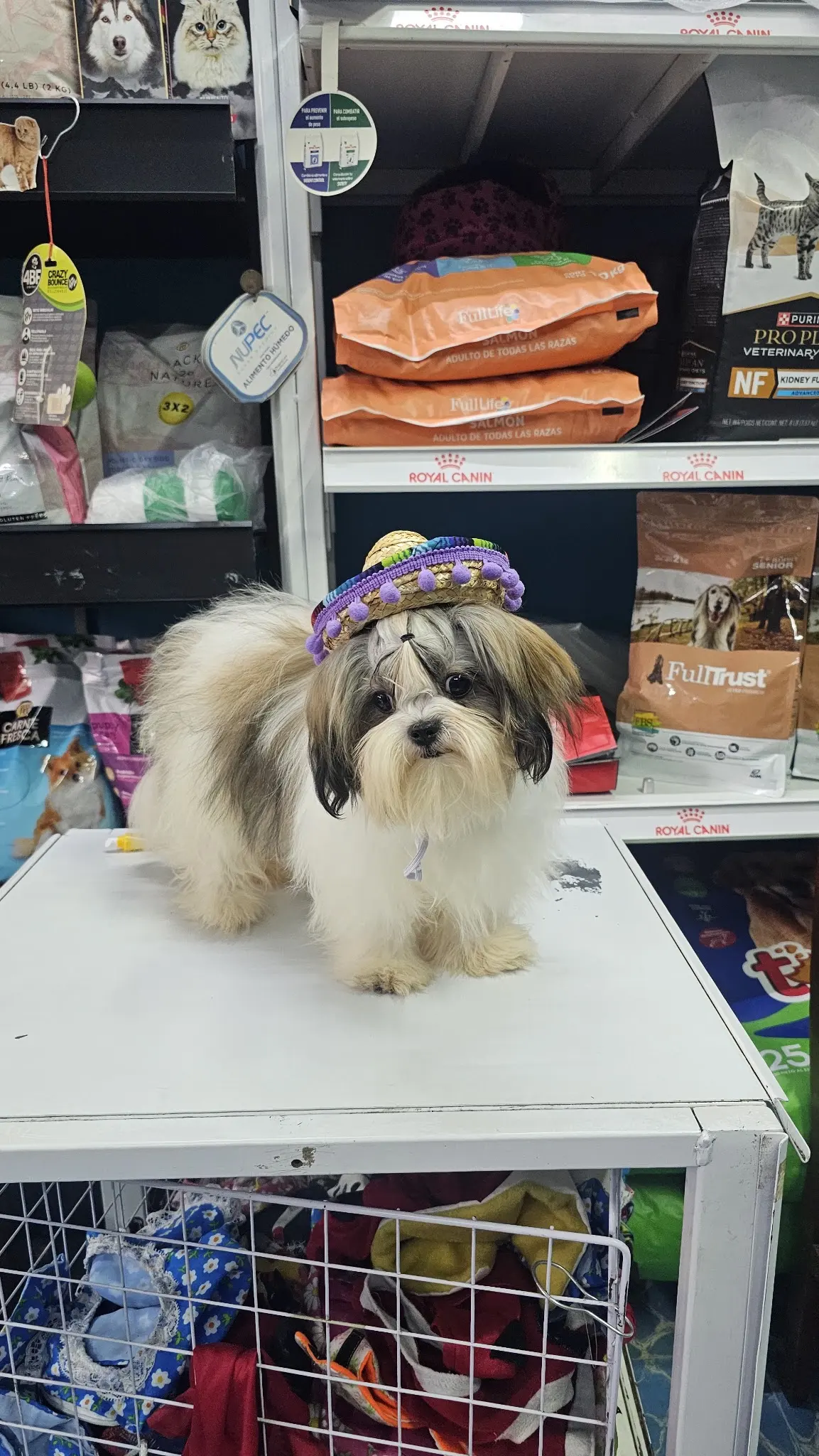 VETERINARIA MOLINA