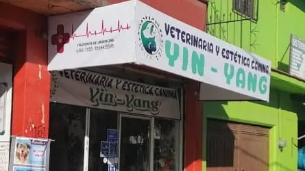 Veterinaria Y Estetica Canina Yin-Yang