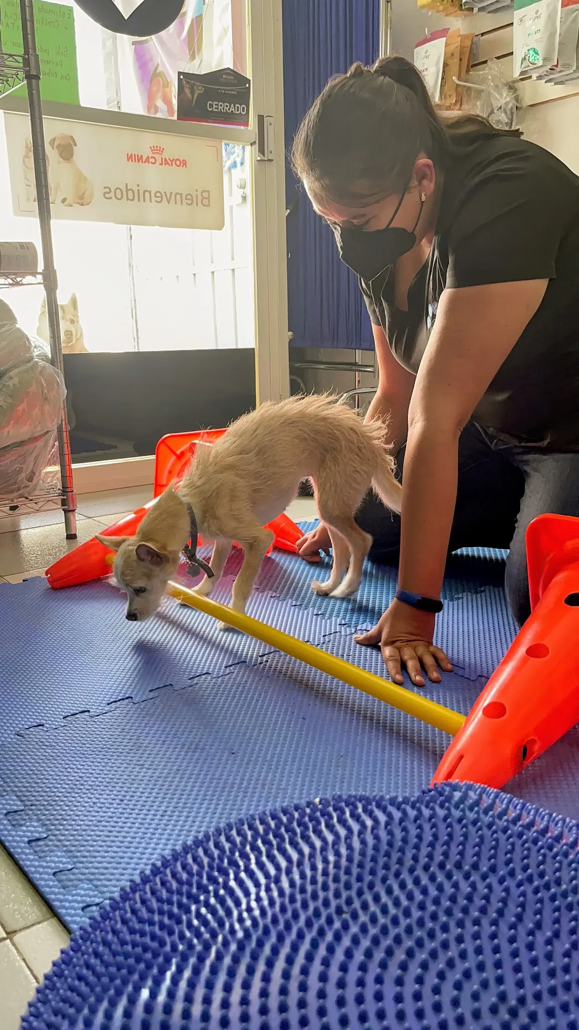 ZOO KARUBA Servicios Médicos Veterinarios