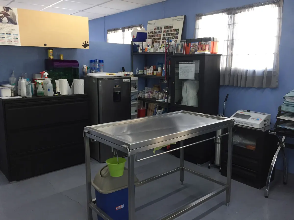Centro Veterinario Una Sola Salud — foto 3 de 3