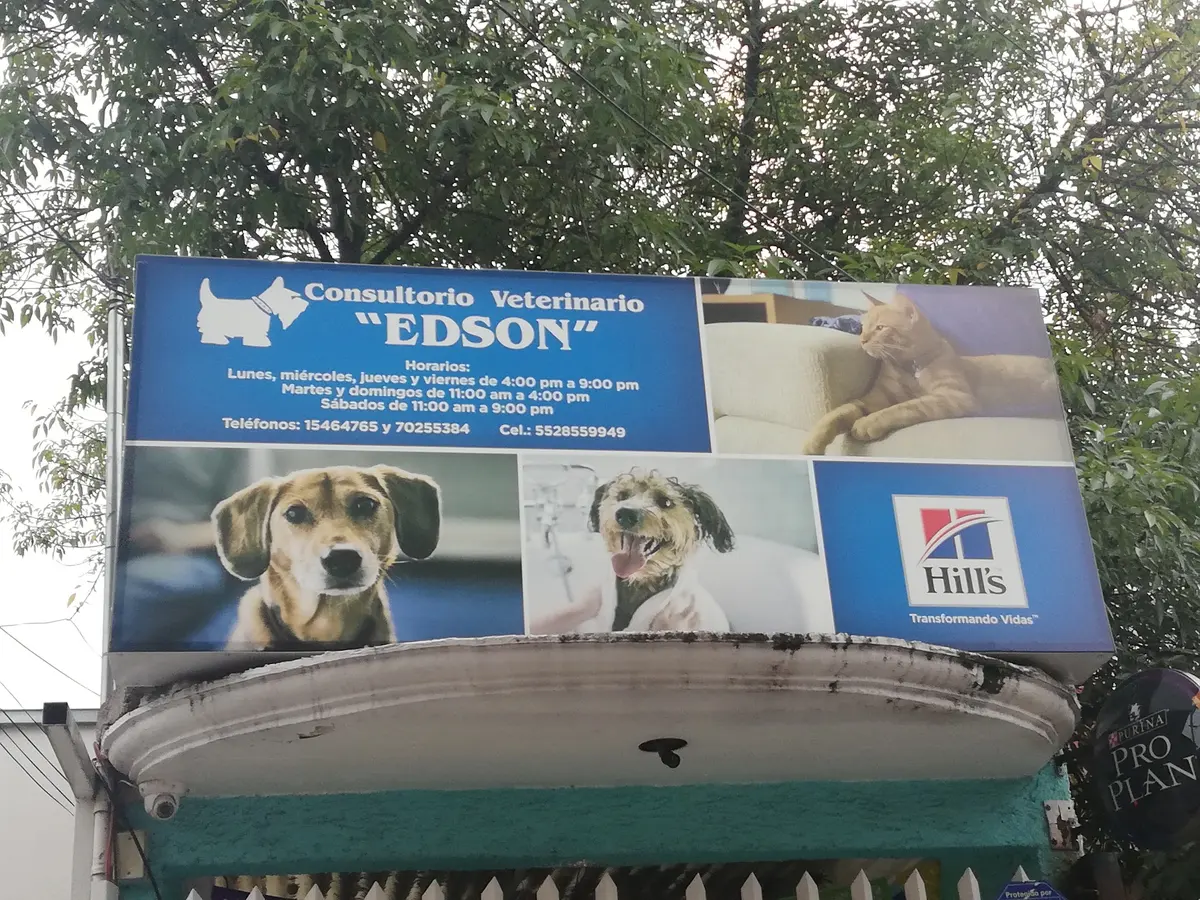 Consultorio Veterinario EDSON