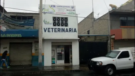 Consultorio Veterinario GyR