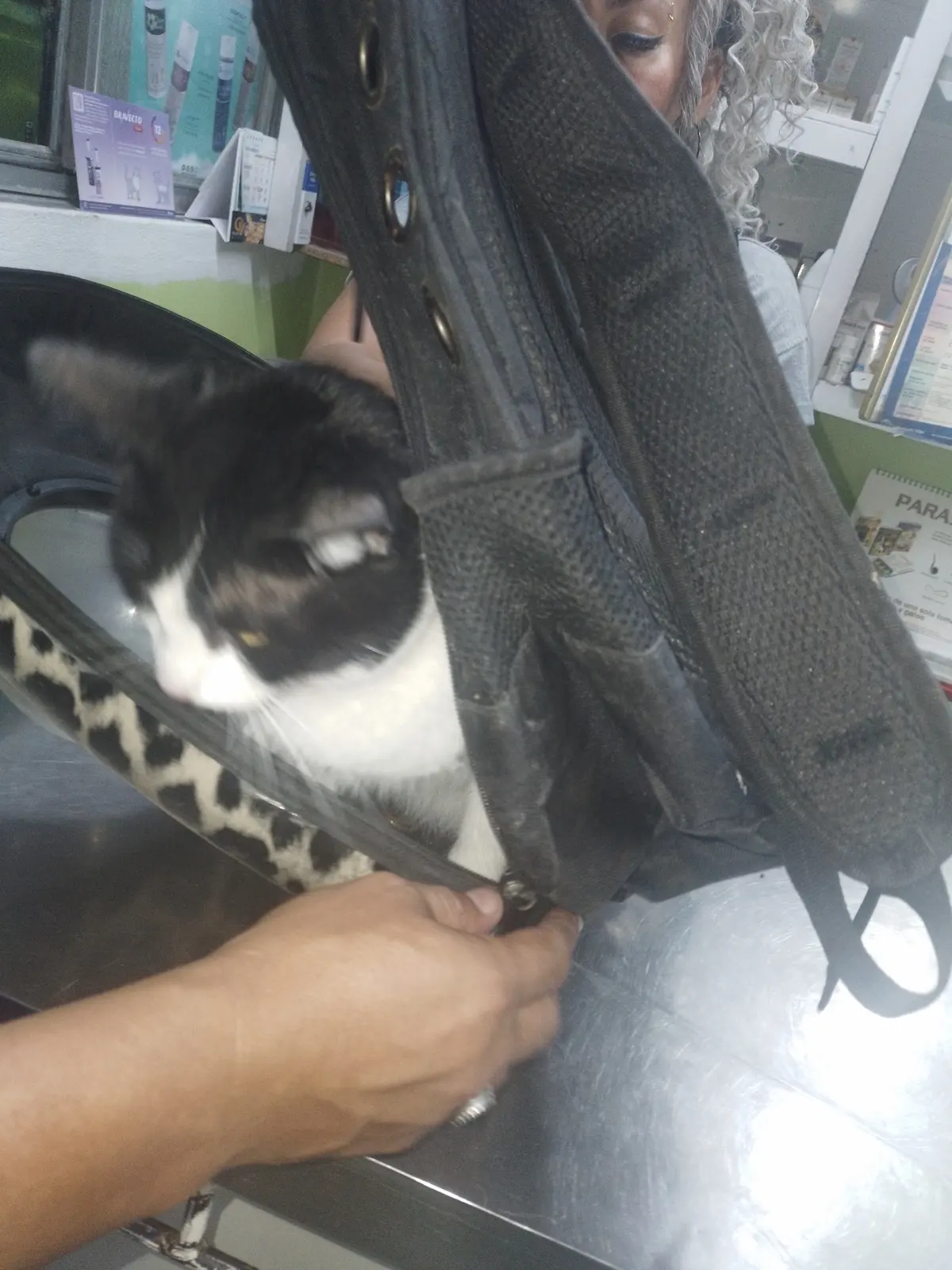Consultorio Veterinario Joya