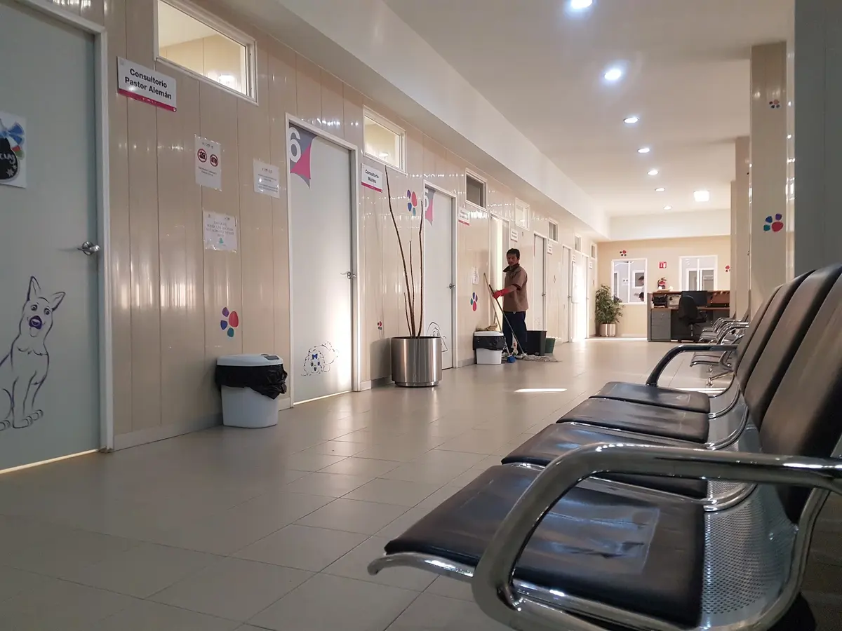 Hospital Veterinario de la CDMX — foto 3 de 3