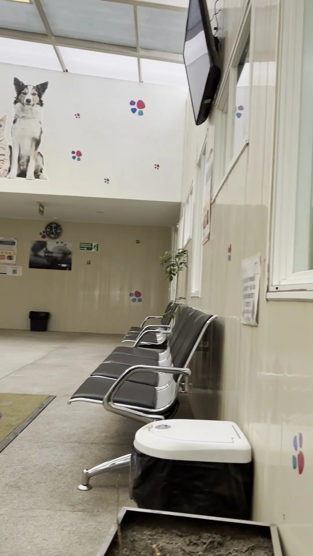 Hospital Veterinario de la CDMX — foto 2 de 3