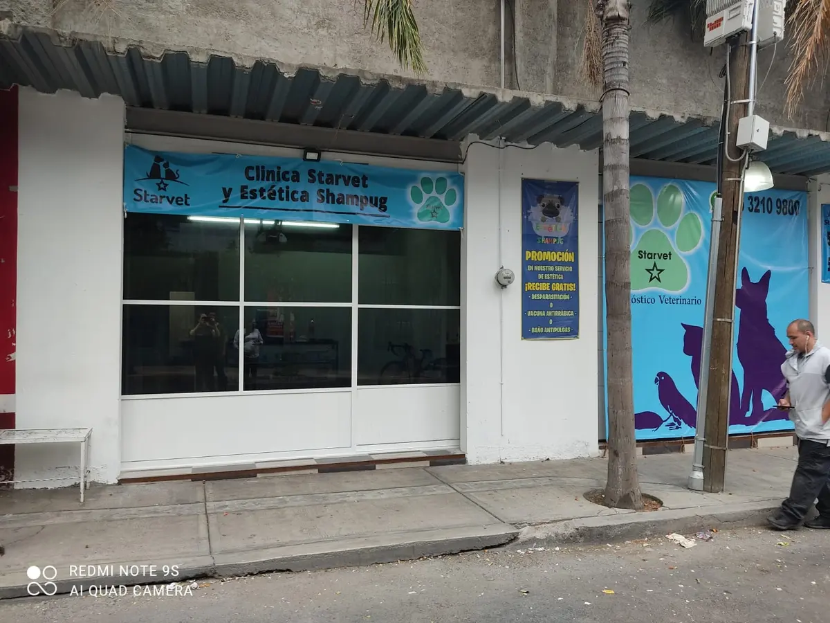 STARVET clínica veterinaria 24 horas — foto 2 de 3