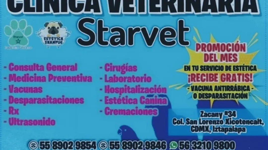 STARVET clínica veterinaria 24 horas