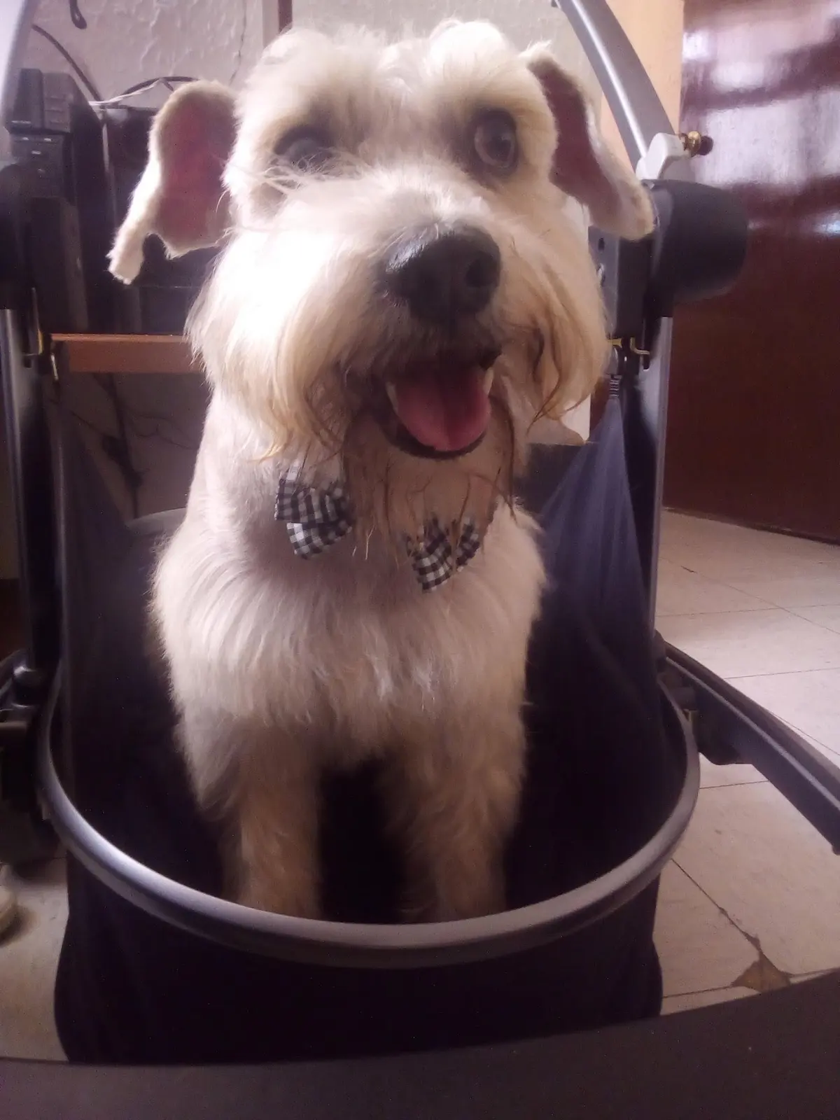 Veterinaria Bilbao