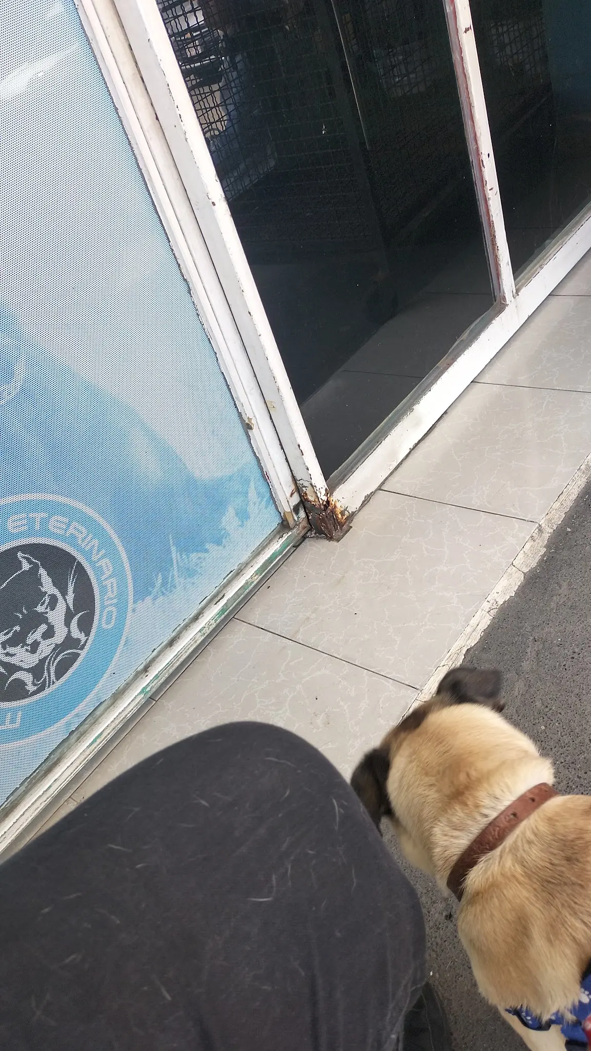 VETERINARIA Las TORRES — foto 2 de 3