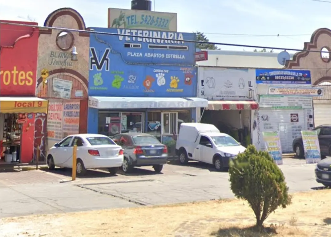 Veterinaria plaza abasto estrella