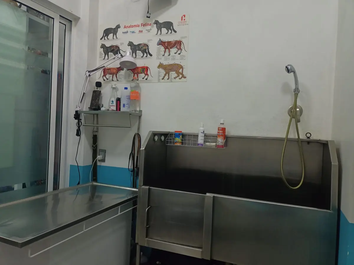 VETERINARIA Y ESTÉTICA CANINA AMIGOS PELUDOS