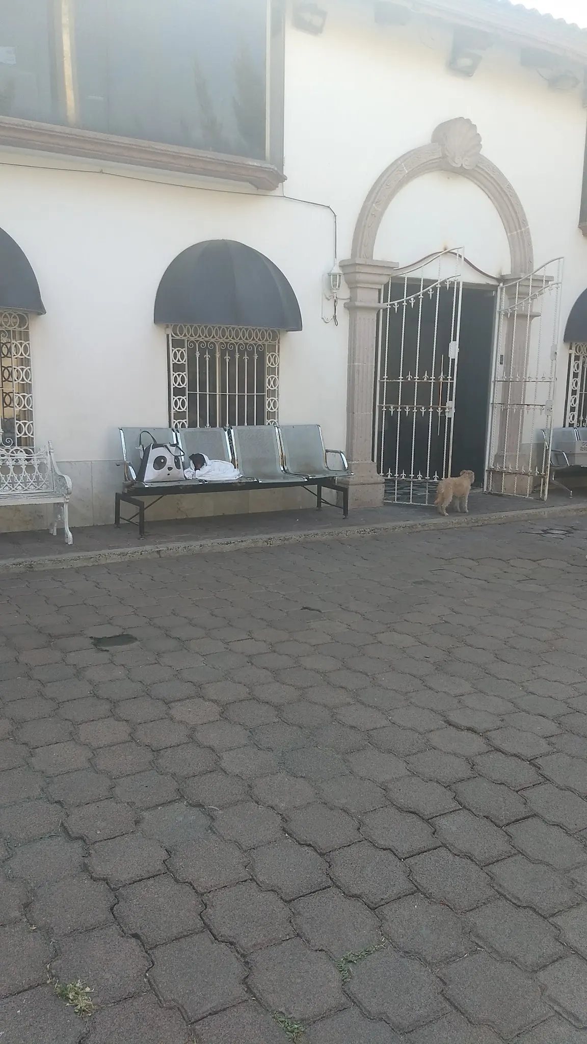 Veterinaria Yonan