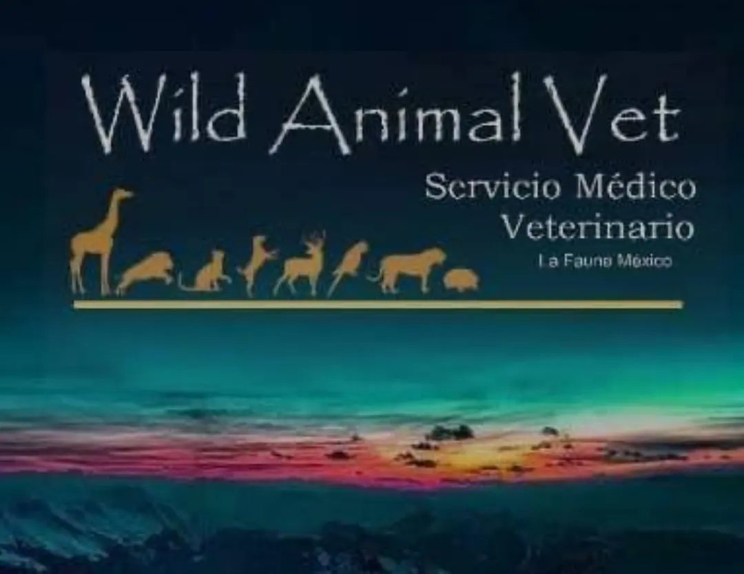 Wild Animal Vet Sucursal Iztapalapa — foto 2 de 3