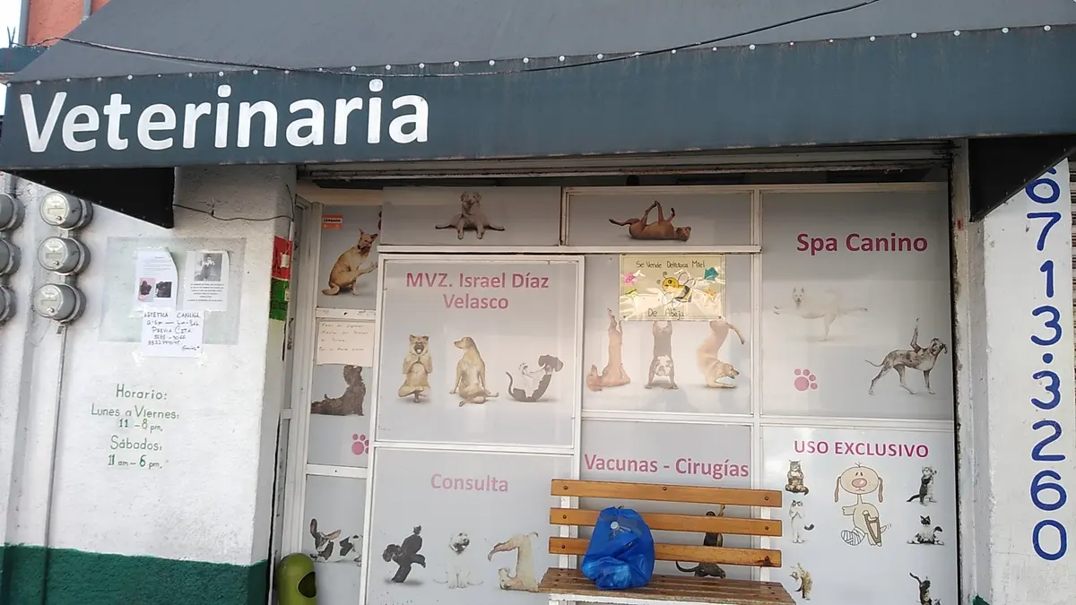 Zen kan veterinaria