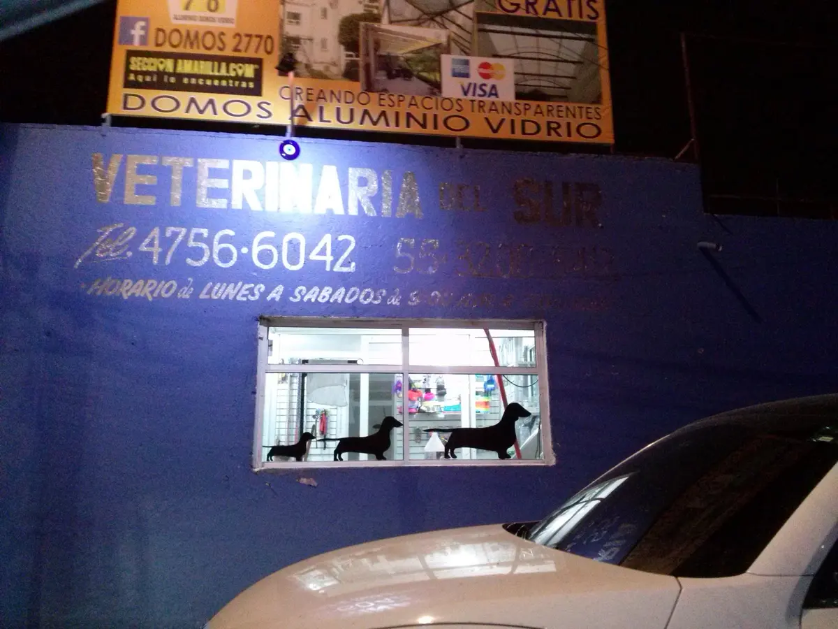 Consultorio Veterinario del Sur — foto 2 de 3
