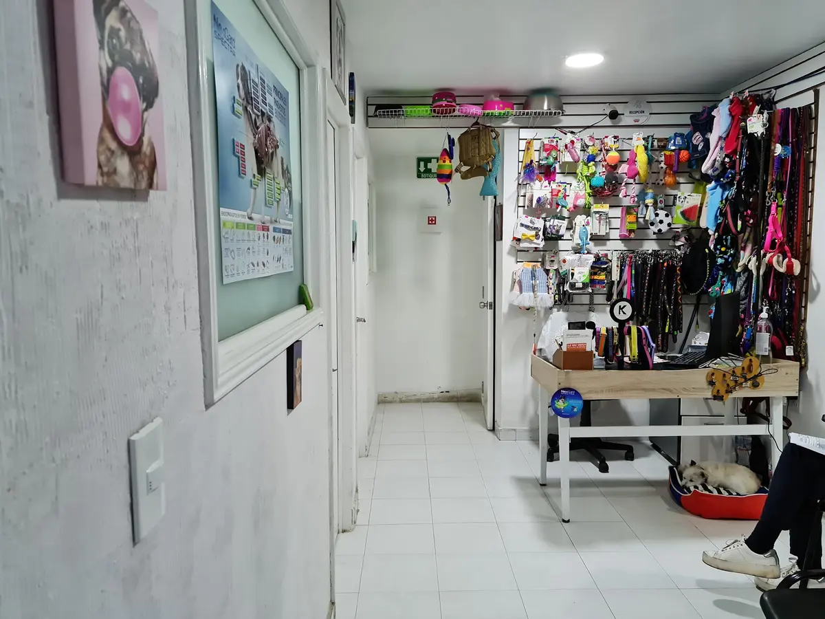 Consultorio Veterinario del Sur