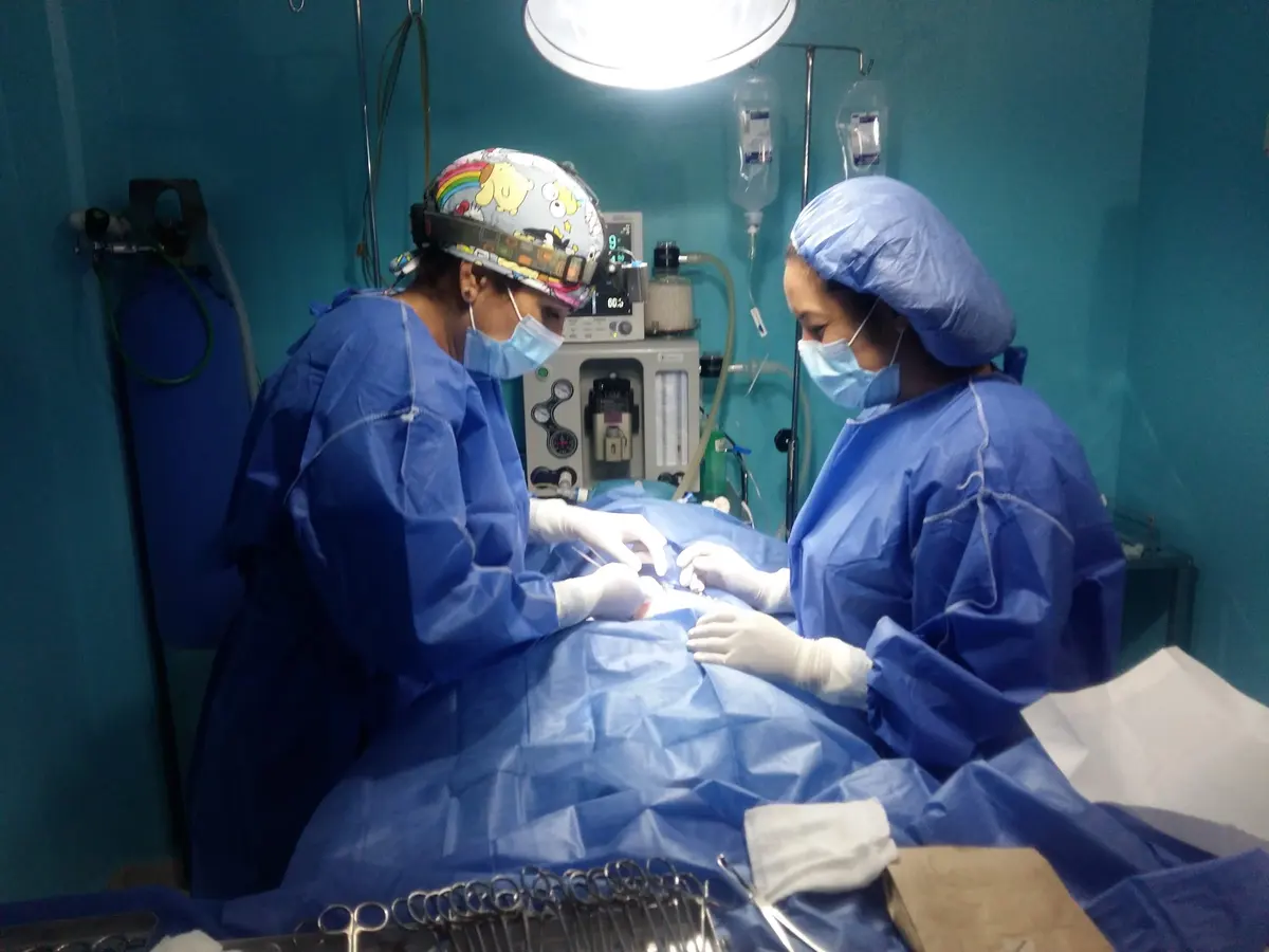 Pet Center San Jerónimo Hospital Veterinario