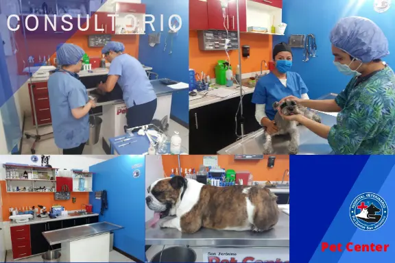 Pet Center San Jerónimo Hospital Veterinario — foto 2 de 3