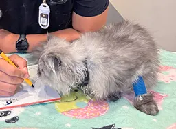 Centro Veterinario México — foto 4 de 7