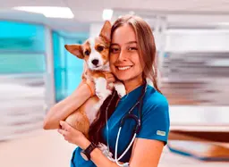 Centro Veterinario México — foto 3 de 7