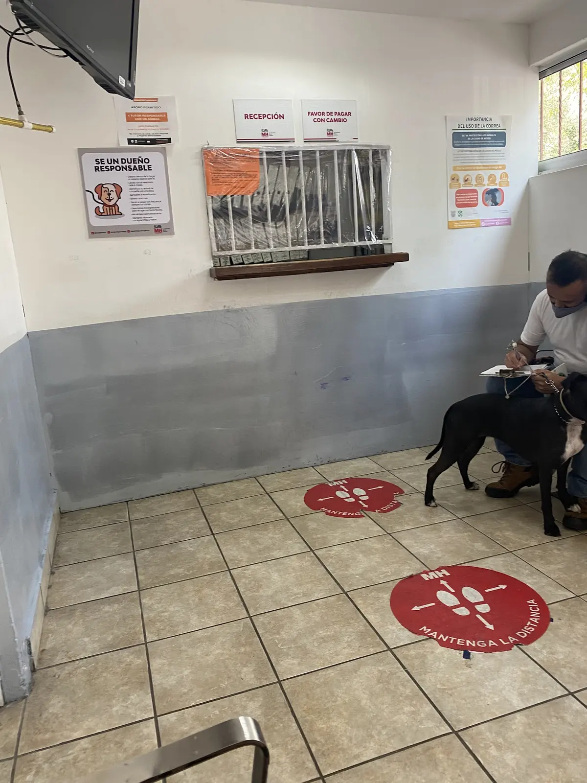 Clínica Veterinaria Legaria — foto 2 de 3