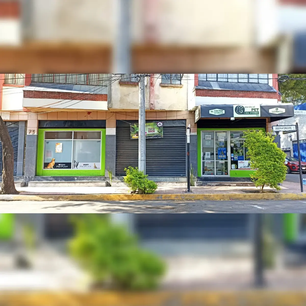 Clinica Veterinaria MEDICAL PET