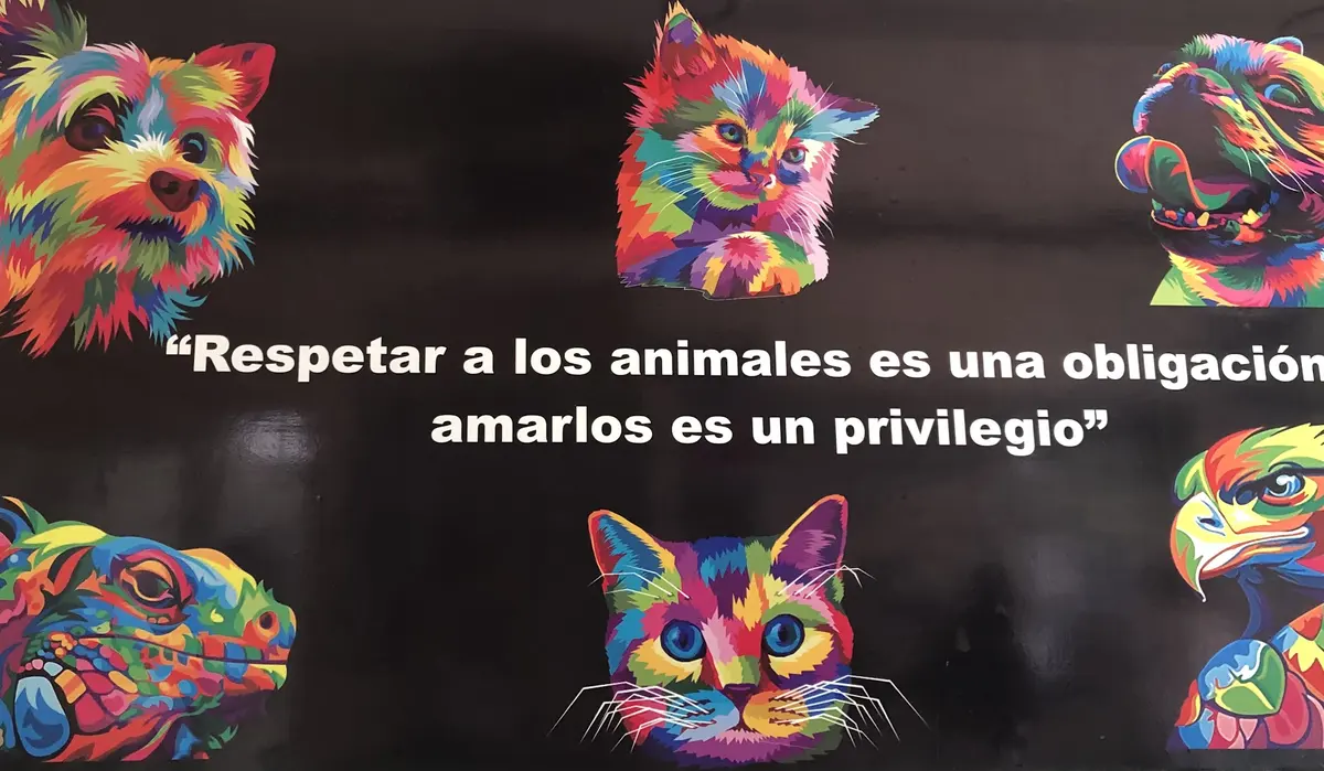 Clínica Veterinaria Parque Salesiano