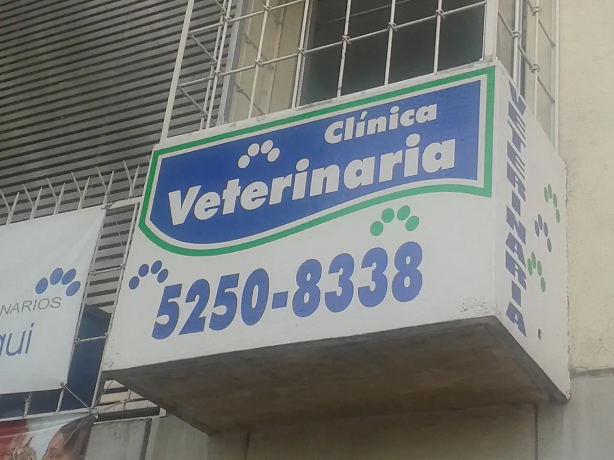 Clinica Veterinaria