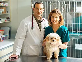 Hospital Veterinario Garritas — foto 1 de 2