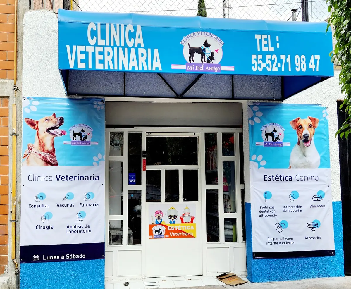 VETERINARIA MI FIEL AMIGO — foto 3 de 3