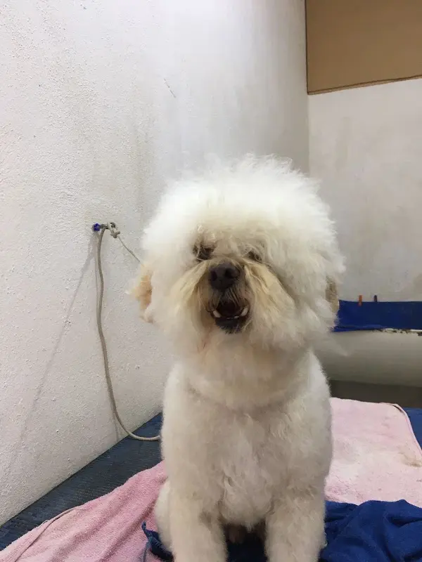 Veterinaria Brydelú — foto 1 de 1