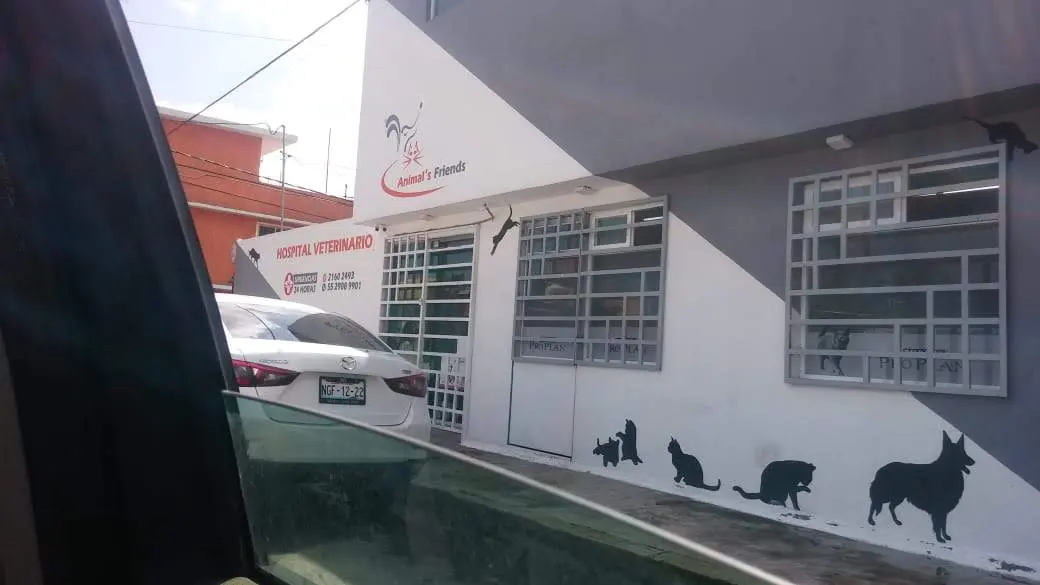 Animal’s Friends