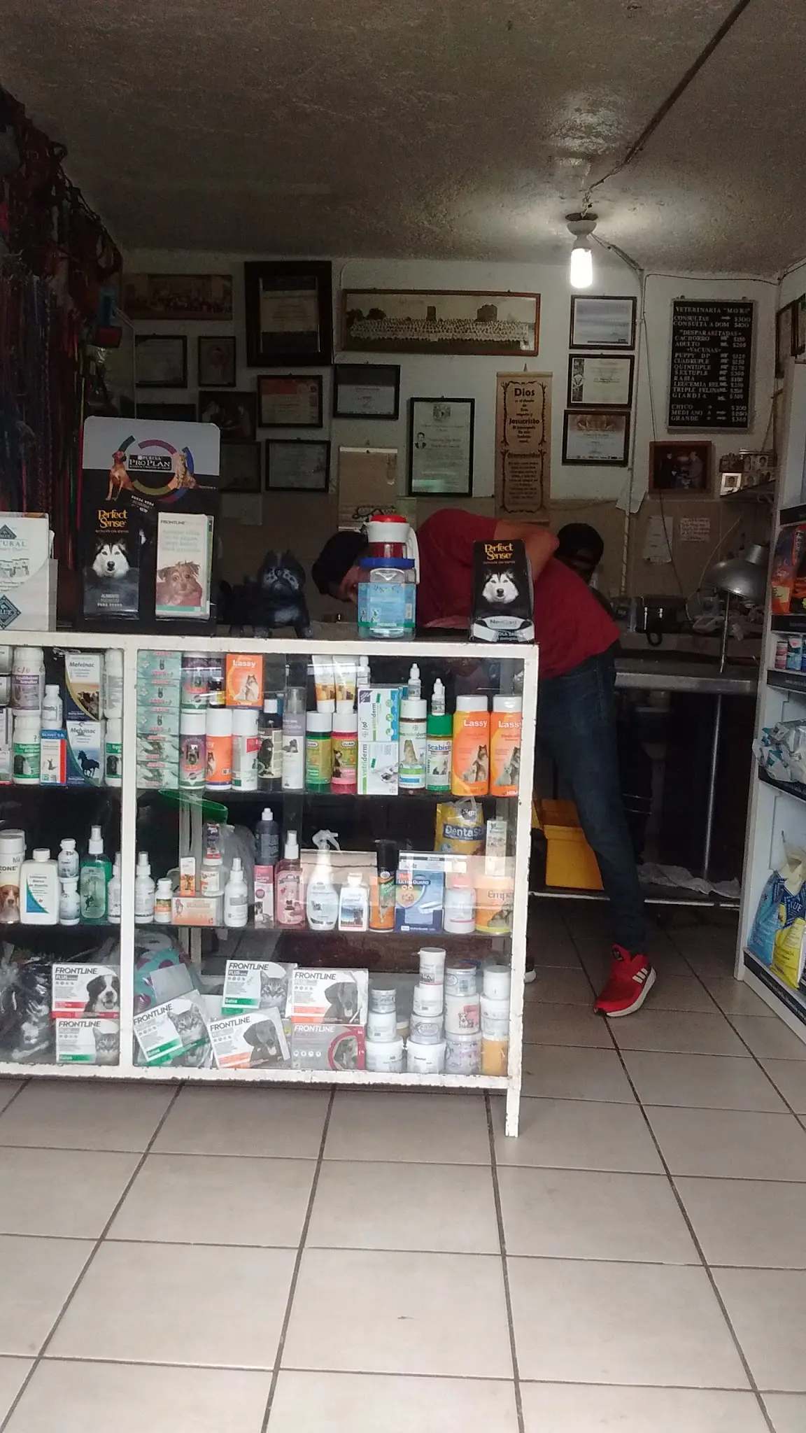 Veterinaria Mayra